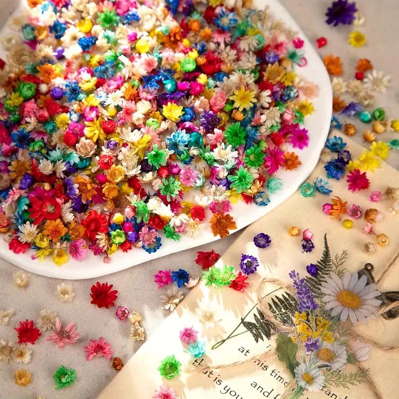 Mixed Colorful Flower for Wax  - Candle Supplies Bulk 评论和价格